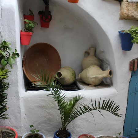 Vivienda Turistica De Alojamiento Rural Silla Vieja ベヘール・デ・ラ・フロンテーラ エクステリア 写真