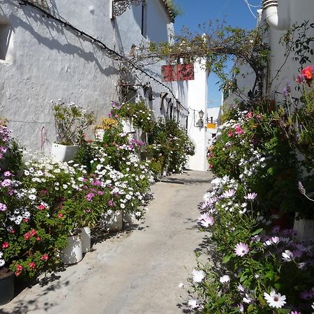 Vivienda Turistica De Alojamiento Rural Silla Vieja ベヘール・デ・ラ・フロンテーラ エクステリア 写真