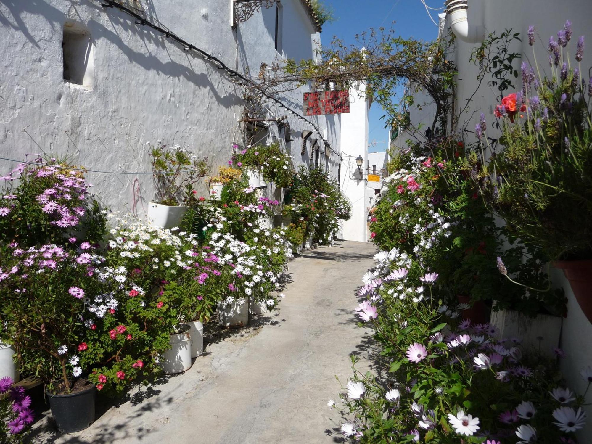 Vivienda Turistica De Alojamiento Rural Silla Vieja ベヘール・デ・ラ・フロンテーラ エクステリア 写真